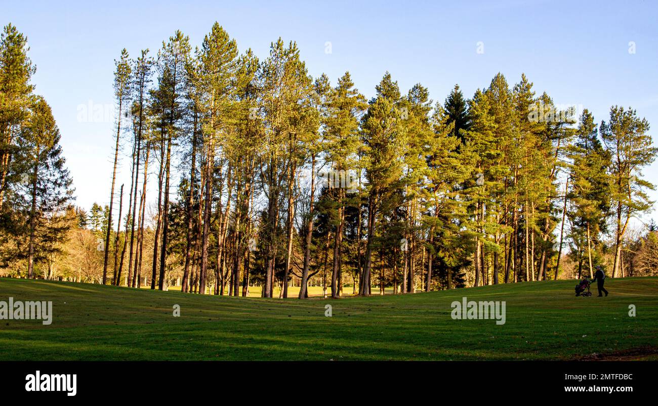 Dundee, Tayside, Écosse, Royaume-Uni. 1st févr. 2023. Météo au Royaume-Uni : le nord-est de l'Écosse connaît un soleil doux de février avec des températures planant autour de 9°C. Vue sur le parcours de golf Downfield et Templeton Woods au village Ardler de Dundee, sous le soleil d'hiver. Le village a beaucoup d'espace ouvert, qui est complété par de belles prairies urbaines et des zones boisées. Les habitants de la région pourront faire une partie de golf le matin près de Templeton Woods. Crédit : Dundee Photographics/Alamy Live News Banque D'Images