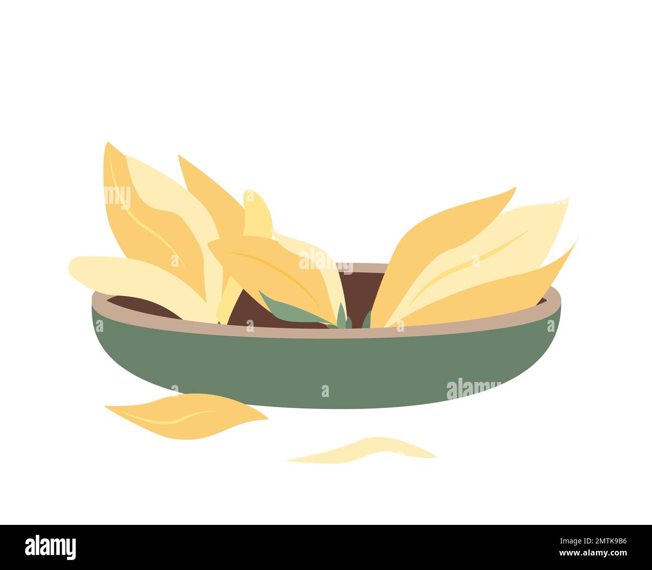 Bol geen plein de fleurs jaune Campaka avec des feuilles pour l'aromathérapie, le spa et le bien-être. Illustration vectorielle plate de superbes boutons Magnolia Banque D'Images