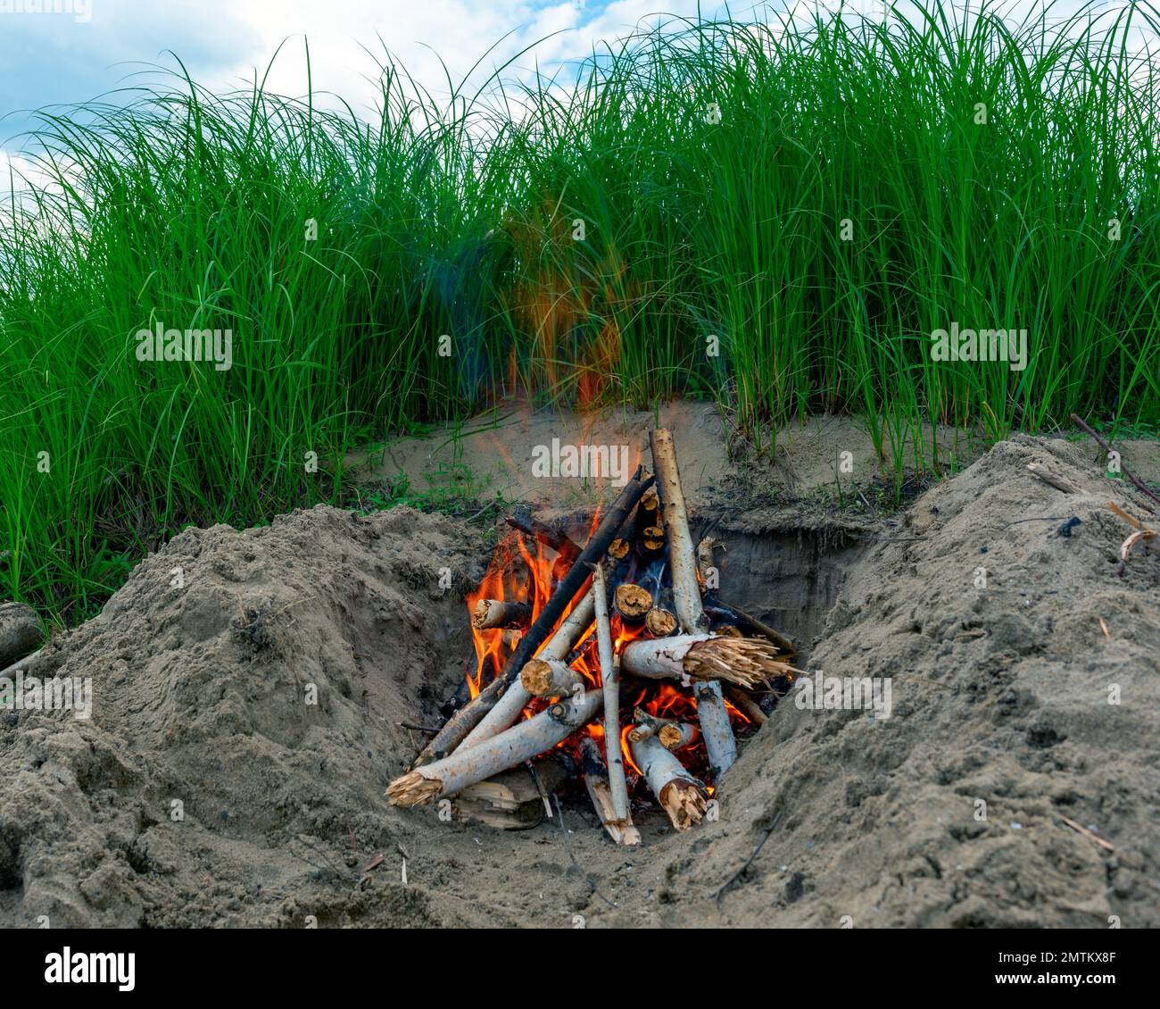 Un feu de bois de bouleau brûle dans le sable à côté de la grande herbe verte sous un ciel bleu et des nuages. Banque D'Images