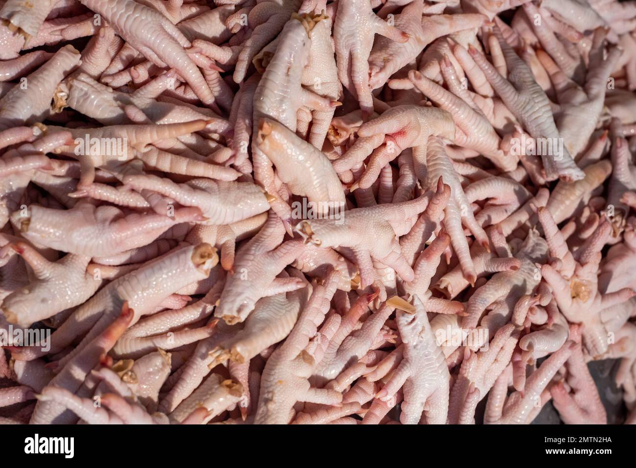 Pieds de poulet dans un plateau sur le comptoir du magasin. Gélatine naturelle, cuisine chinoise traditionnelle. Banque D'Images