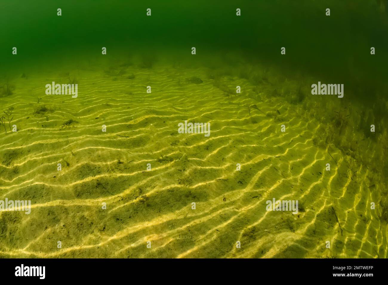 Le soleil se déverse au fond du lac Lost Canyon, comté de Mecota, Michigan, États-Unis Banque D'Images