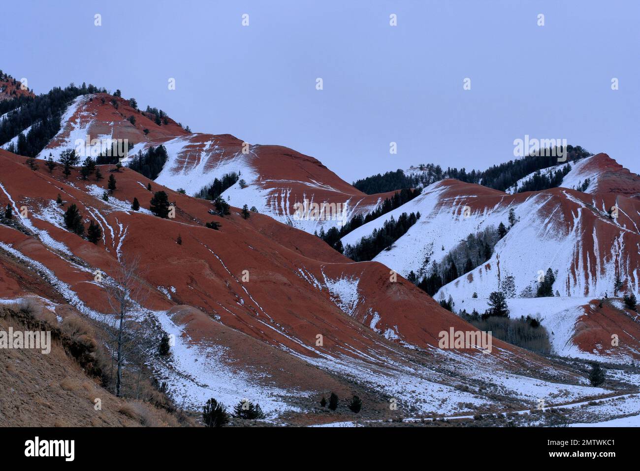 collines rouges avec 1st neige Banque D'Images