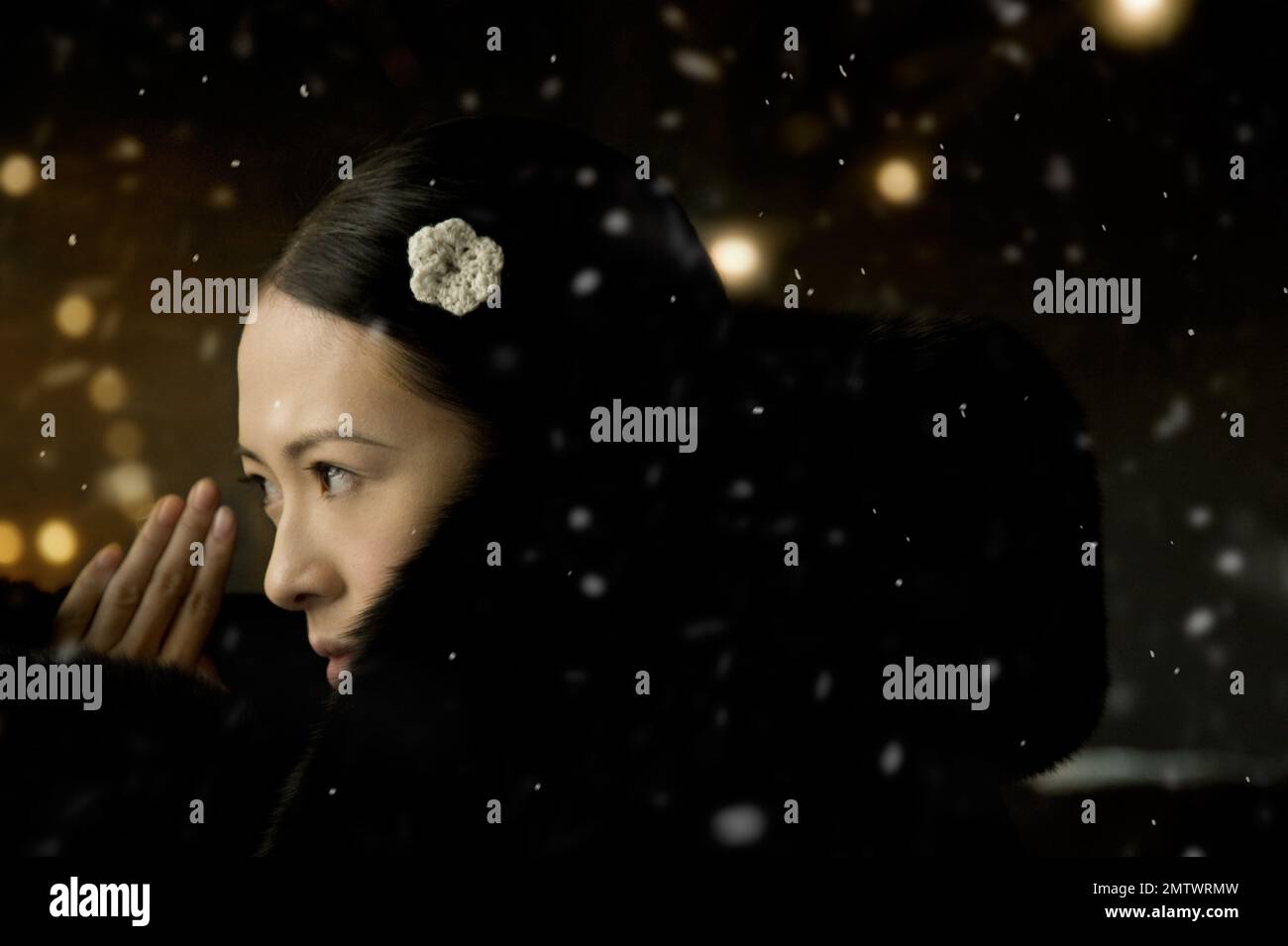 Le grand maître Yi dai zong shi année : 2013 Hong Kong / Chine Directeur : Wong Kar-Wai Zhang Ziyi Banque D'Images