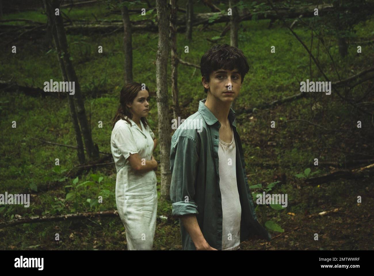 Un an et deux : 2015 Etats-Unis Directeur : Andrew Droz Palermo Kiernan Shipka, Timothée Chalamet Banque D'Images