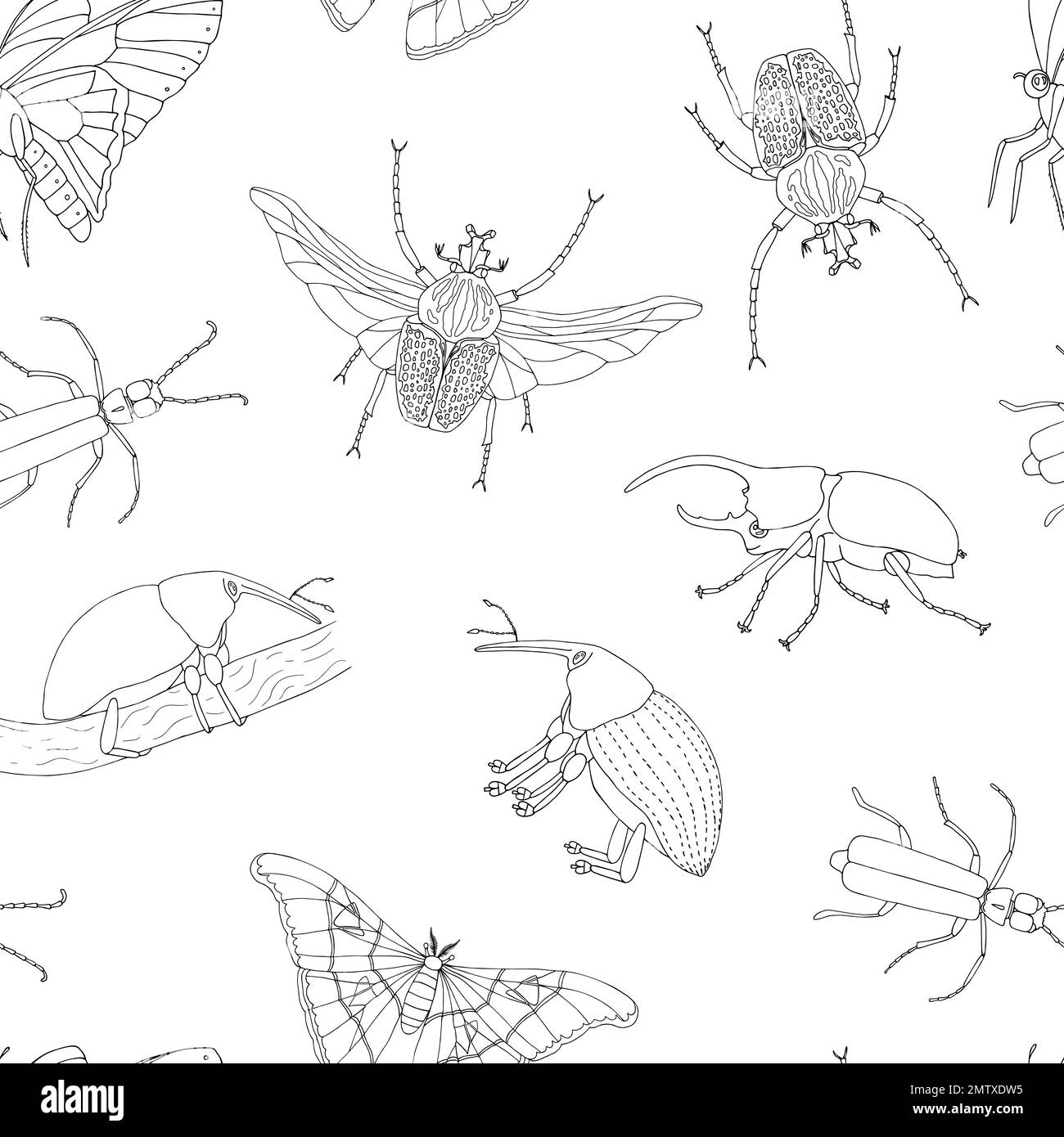 Motif vectoriel sans couture d'insectes tropicaux. Répéter les contours dessinés à la main de la teigne de l'atlas, du charançon, du papillon, du goliath, du coléoptère d'Hercules, Portée Illustration de Vecteur