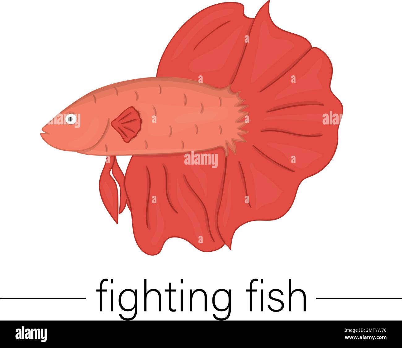 Illustration vectorielle de poissons d'aquarium. Illustration de poissons de combat pour les animaleries ou les enfants Illustration de Vecteur