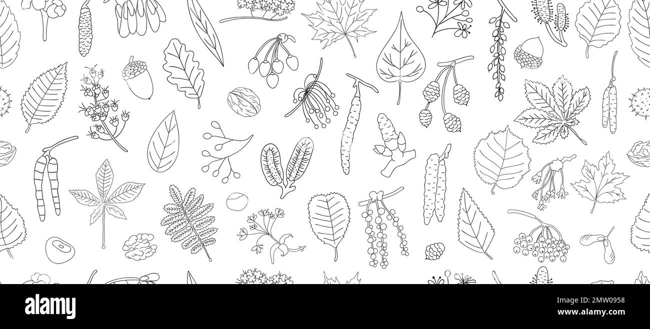 Motif vectoriel sans couture d'éléments d'arbre noirs et blancs isolés sur fond blanc. Fond d'art linéaire de bouleau, érable, chêne, rowan, châtaignier, ha Illustration de Vecteur