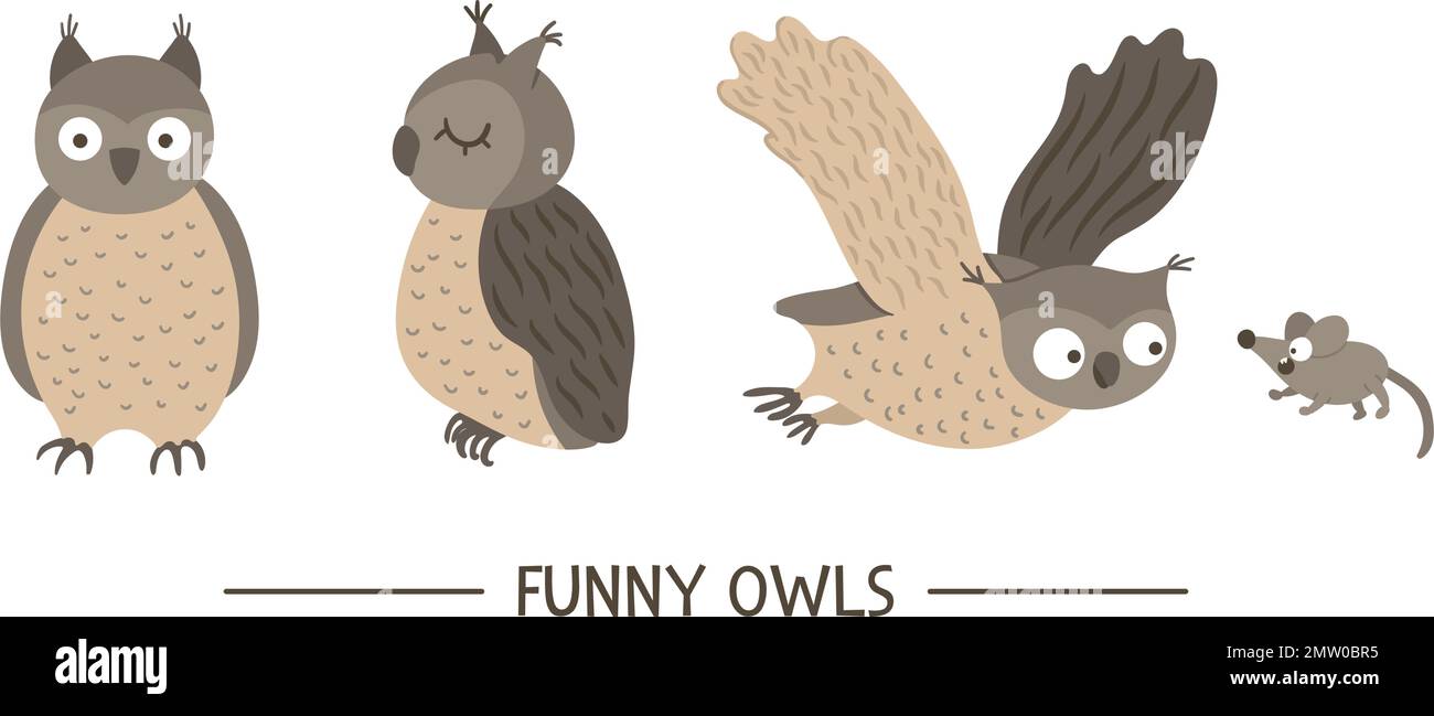 Ensemble vectoriel de style de dessin animé main tirée plat chouettes drôle dans différentes poses. Illustration mignonne des oiseaux des bois pour le dessin des enfants. Illustration de Vecteur