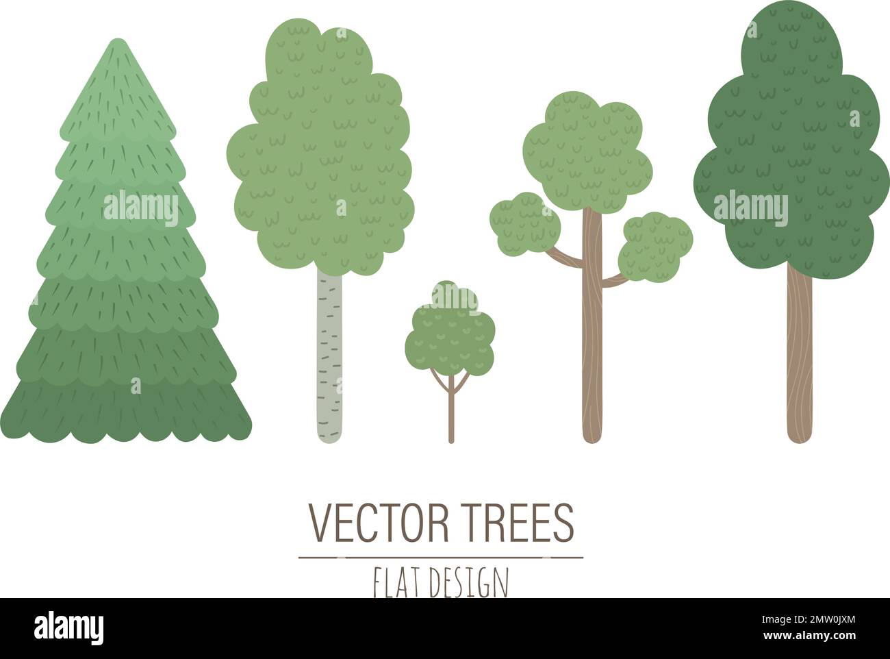 Ensemble vectoriel d'arbres plats dessinés à la main et isolés sur fond blanc. Collection de plantes forestières pour la conception des enfants. Illustration de Vecteur