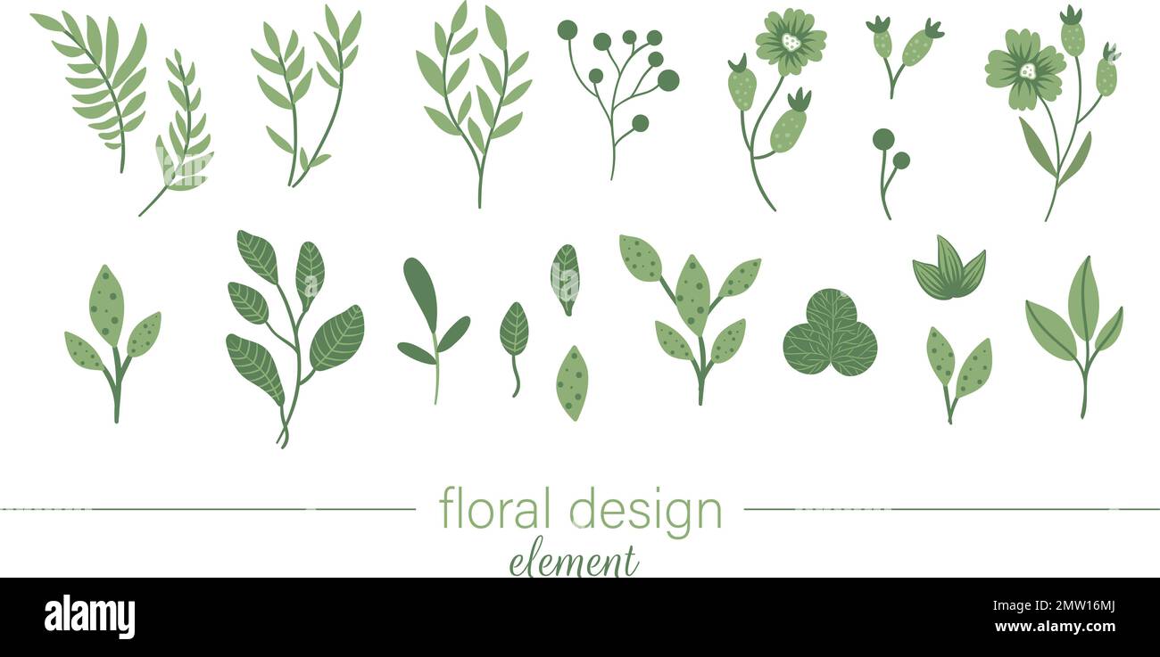 Ensemble d'œuvres d'art à pince à fleurs, vert vectoriel. Illustration tendance plate avec fleurs, feuilles, branches, baies. Prairie, bois, forêt, éléments de jardin isolés Illustration de Vecteur