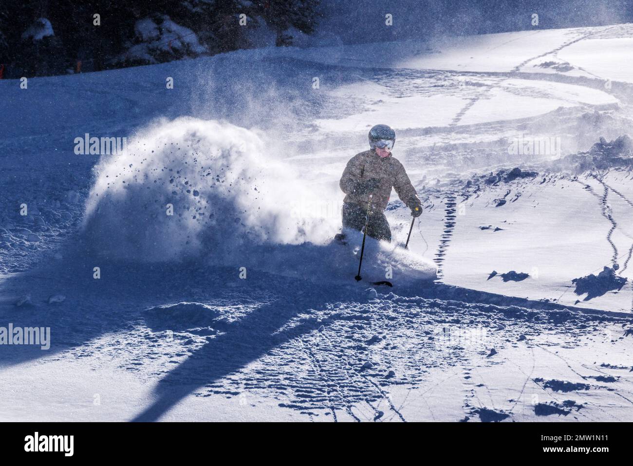 Skieur en poudre fraîche sur Gunbarrel ; station de ski et surf des neiges Monarch Mountain sur le Continental Divide dans le Colorado, Etats-Unis Banque D'Images