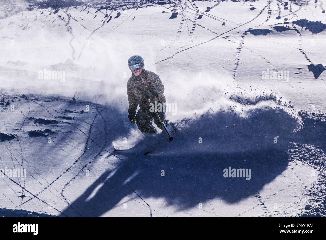 Skieur en poudre fraîche sur Gunbarrel ; station de ski et surf des neiges Monarch Mountain sur le Continental Divide dans le Colorado, Etats-Unis Banque D'Images