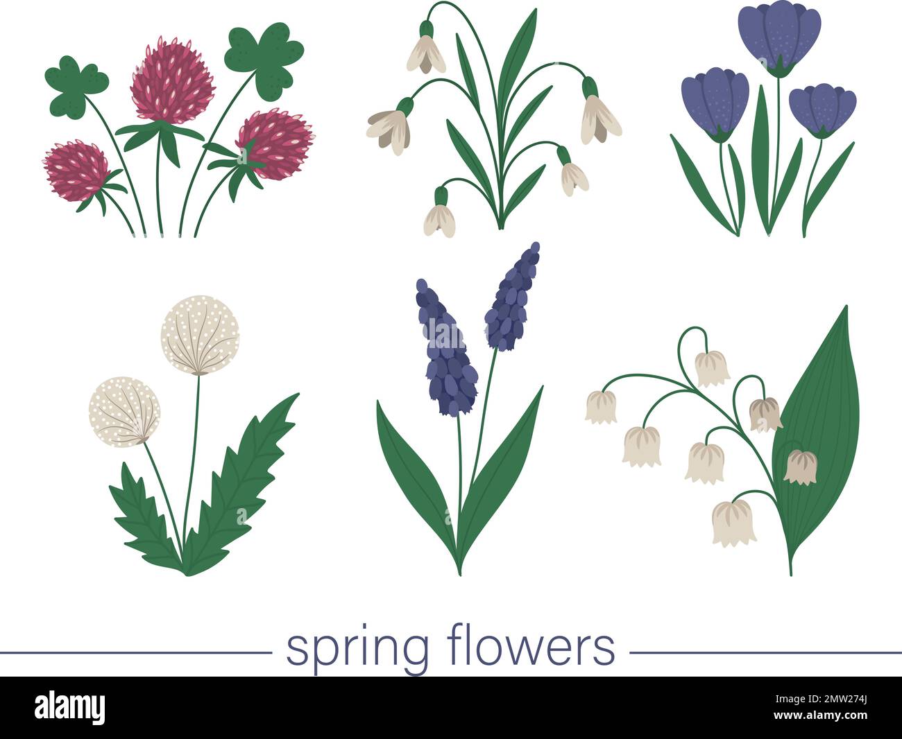 Ensemble vectoriel de jolies fleurs de printemps plates. Illustration des premières plantes en fleurs. Collection d'œuvres d'art à pinces fleuries isolée sur fond blanc. Illustration de Vecteur