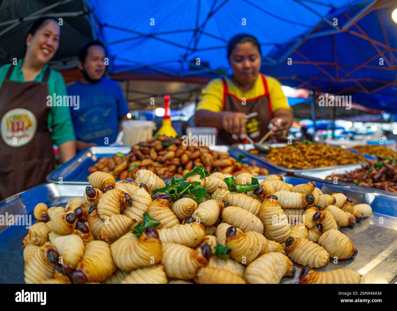 Janvier- 20- 2023- Chumphon Thaïlande, marché où les insectes et les larves d'insectes, les criquets, les criquets et autres insectes sont vendus sur les étals des paysans. Banque D'Images