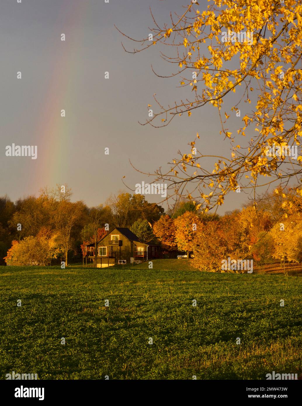 Zeeland , Michigan, Etats-Unis : une maison d'automne entourée de phénomènes naturels. Banque D'Images