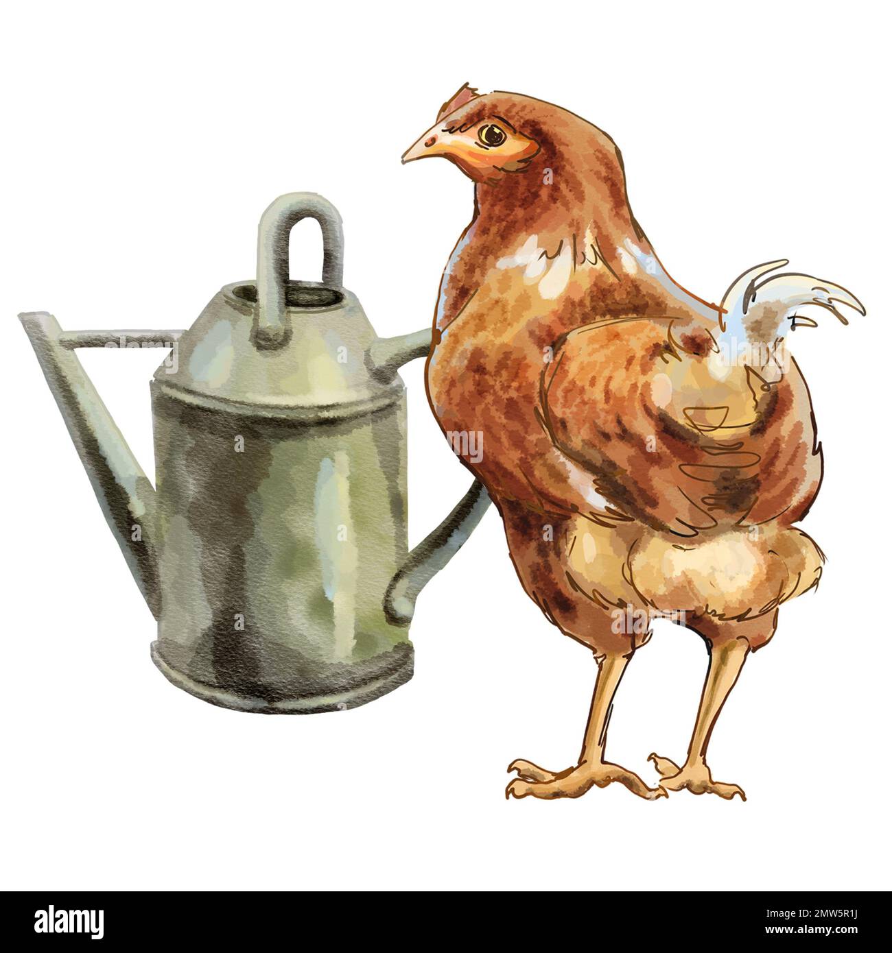 Illustration de couleur ferme avec des poulets. Illustration de haute qualité Banque D'Images