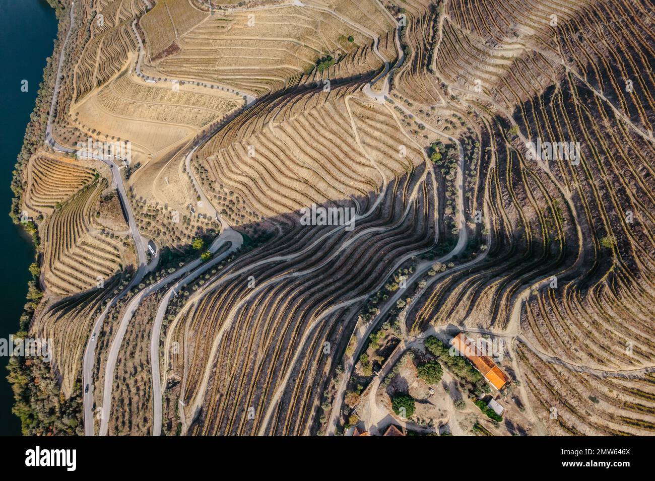 Vue aérienne de la vallée du Douro. Vignobles en terrasse et paysage près de Pinhao, Portugal. Région viticole portugaise. Beau paysage d'automne.Voyage concept Banque D'Images