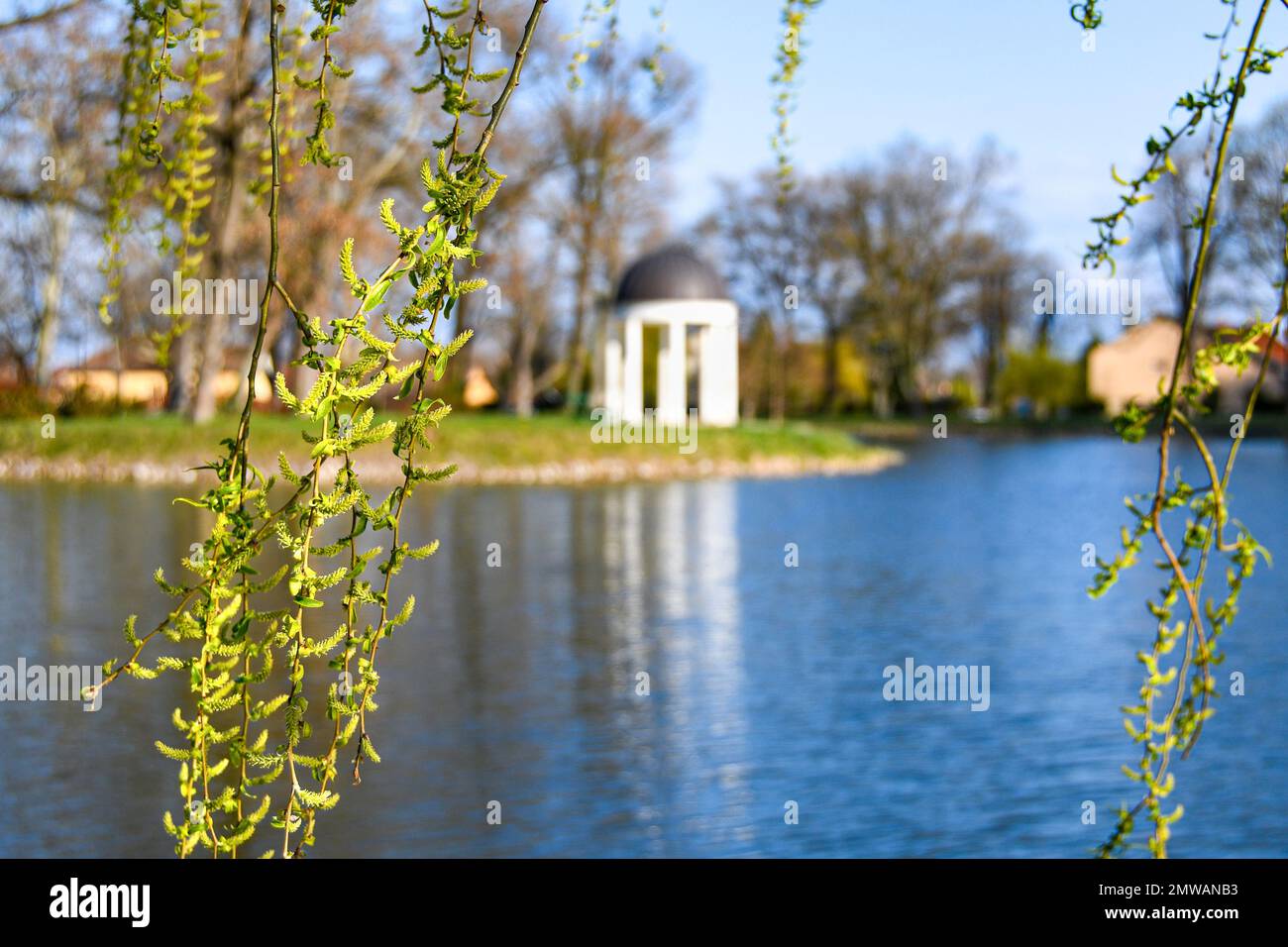 Parc au bord du lac avec pavillon avec branches de saules jaunes au soleil du printemps Banque D'Images