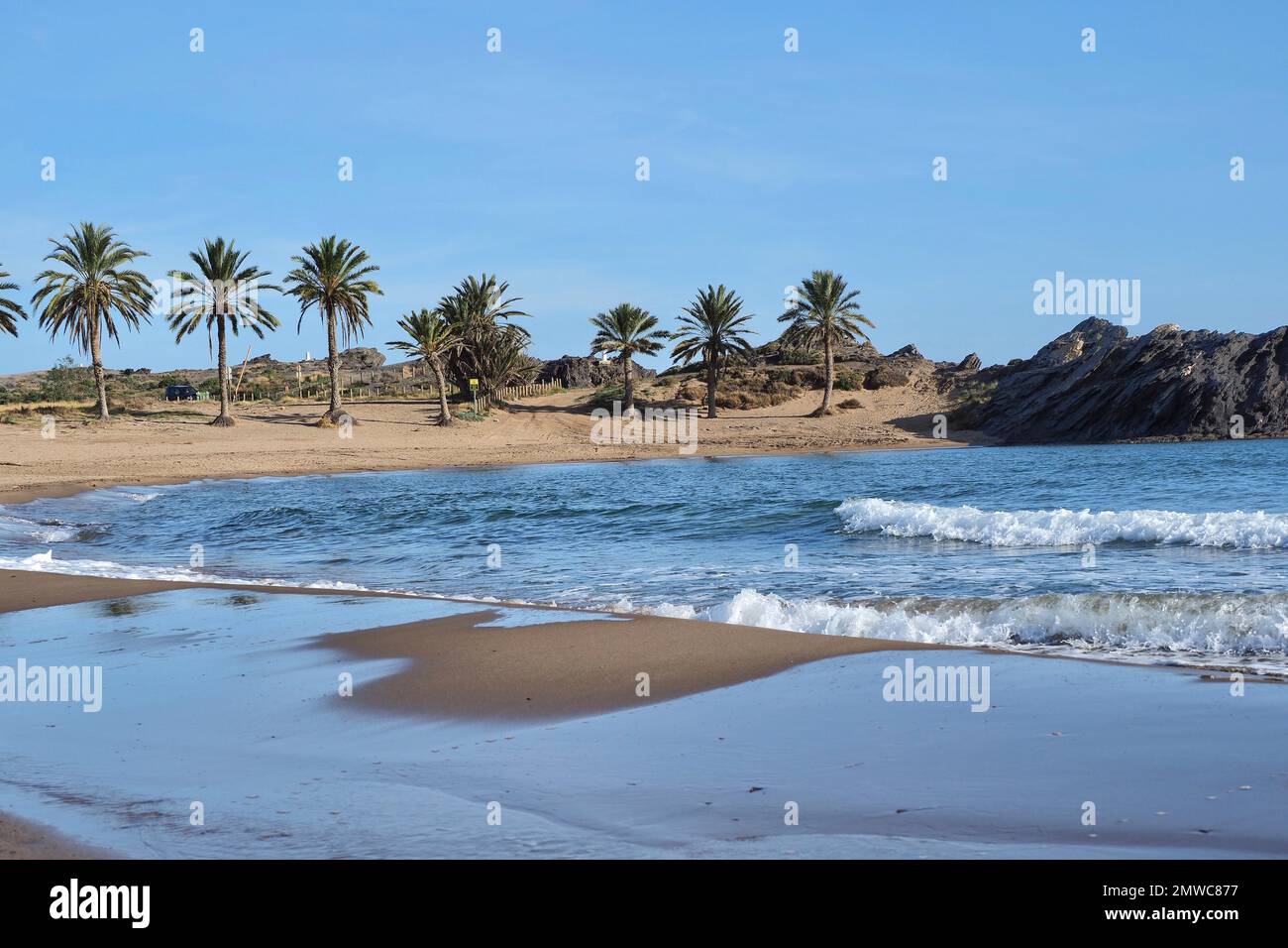 La baie de Snake (Playa Percheles) près de Mazarron avec palmiers, Murcie, Espagne Banque D'Images