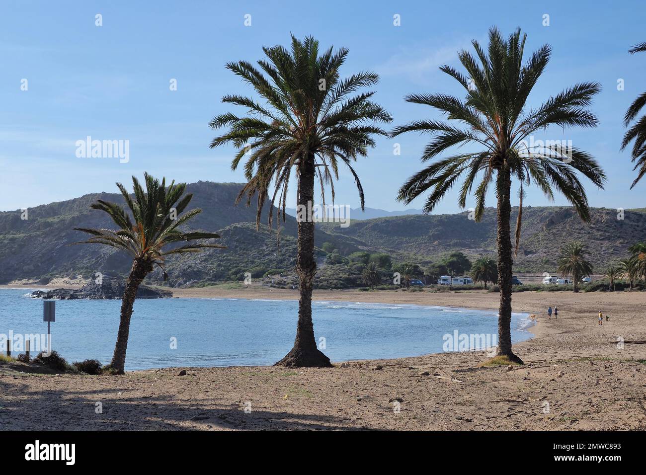 La baie de Snake (Playa Percheles) près de Mazarron avec palmiers, montagnes derrière, parking gratuit pour les camping-cars, Murcia, Espagne Banque D'Images