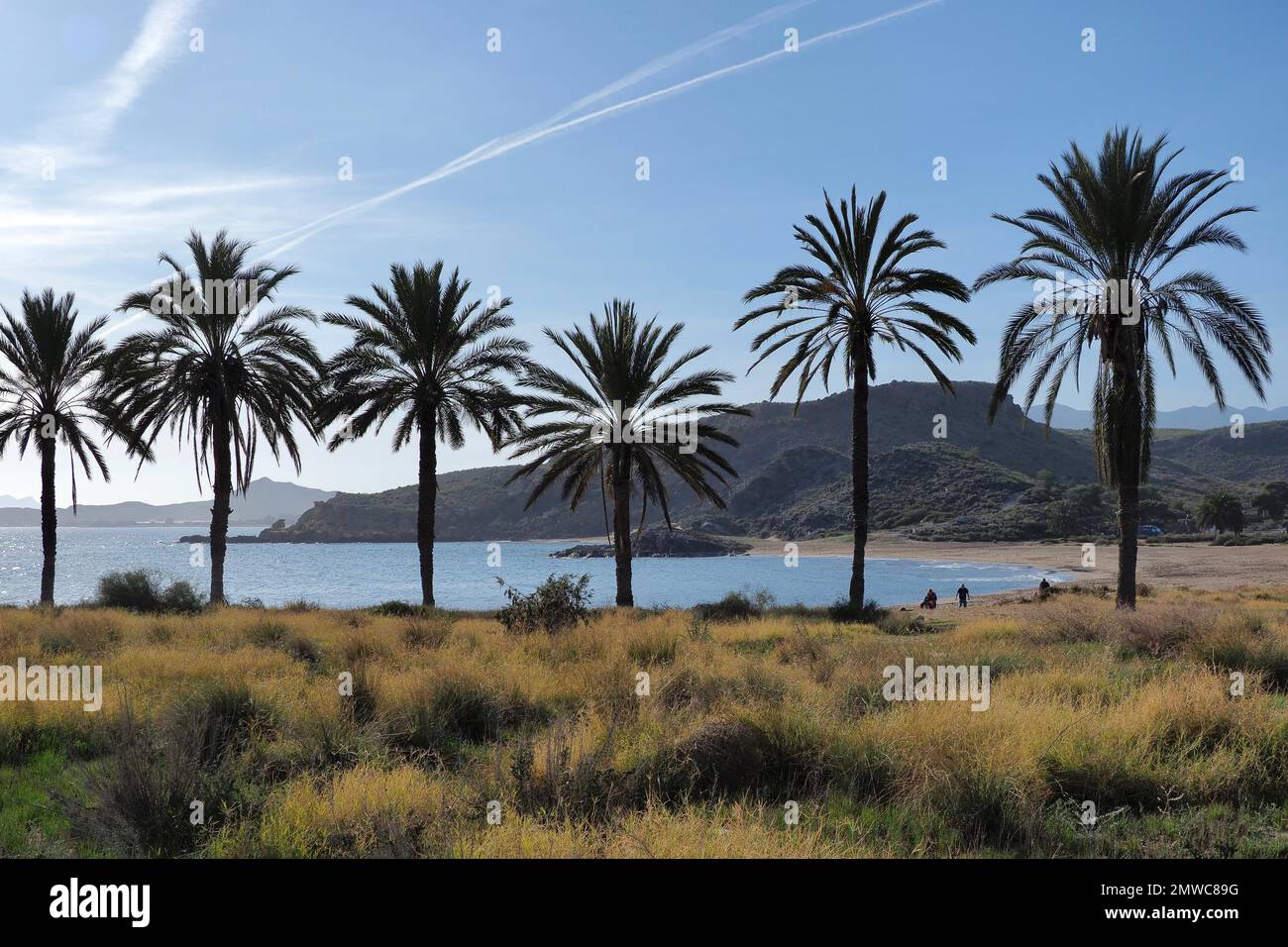 Snake Bay (Playa Percheles) près de Mazarron avec palmiers, montagnes derrière, Murcie, Espagne Banque D'Images