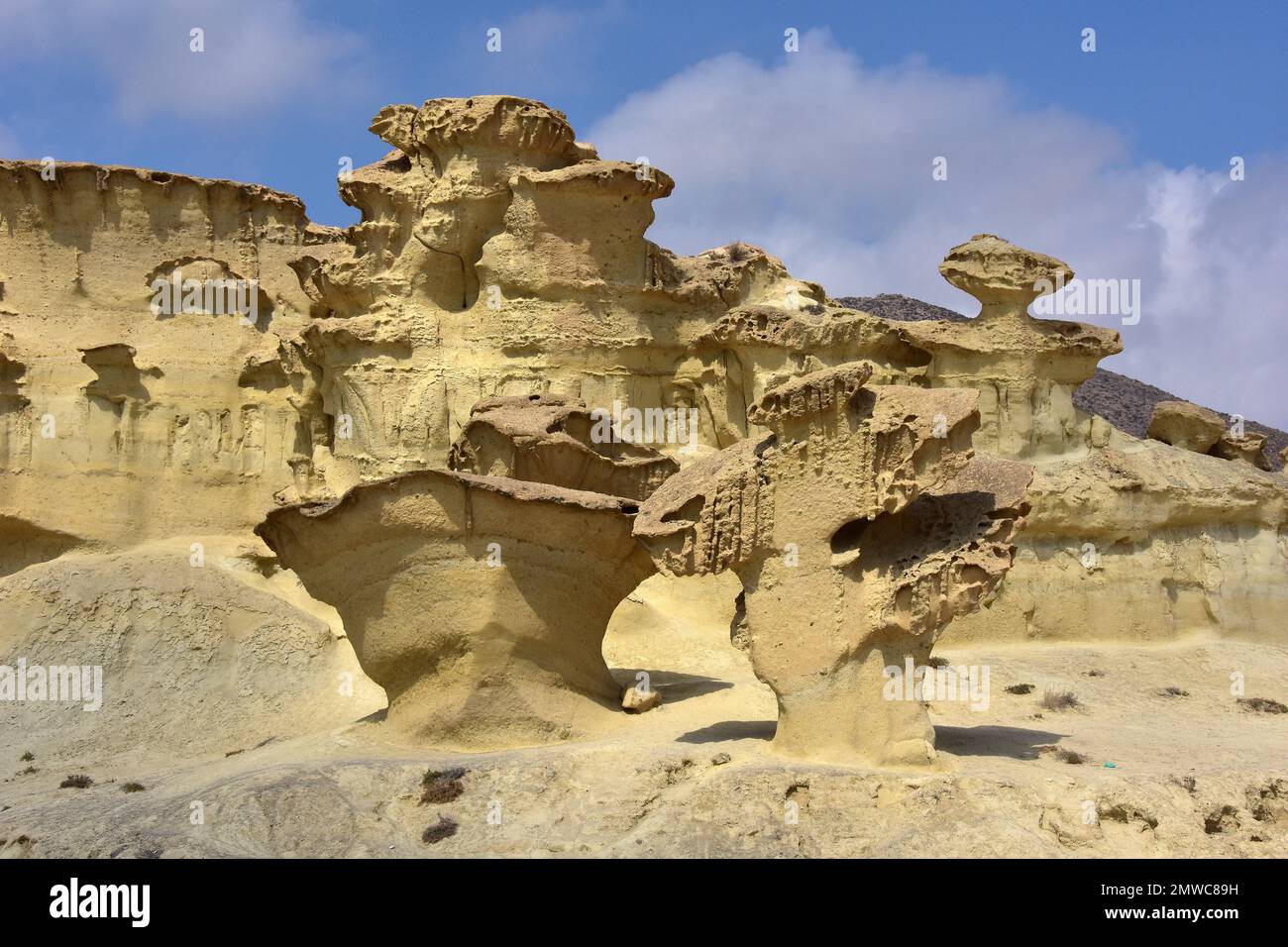 Rochers bizarres dus à l'érosion éolienne, Bolnuevo, Costa Calida, Murcia, Espagne Banque D'Images