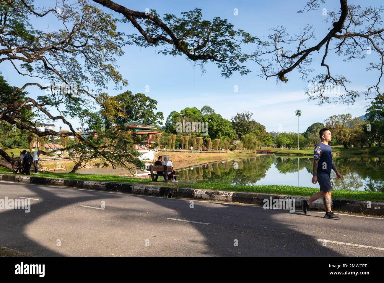 Taiping, Malaisie - 1st janv. 2023: Magnifique jardin du lac Taiping, un grand parc pour la détente et les activités récréatives. Banque D'Images