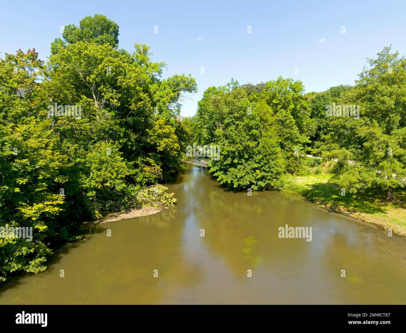 Rivière ILM avec végétation riveraine, vue depuis le pont derrière le palais de la ville, Weimar, Thuringe, Allemagne Banque D'Images