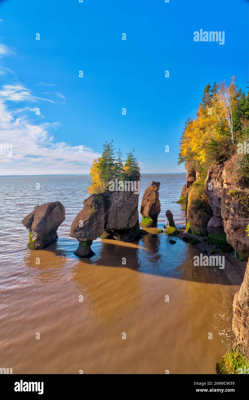 Cheminées et falaises marines aux rochers Hopewell dans le parc provincial Hopewell Rocks, Nouveau-Brunswick, Cnaada. Banque D'Images