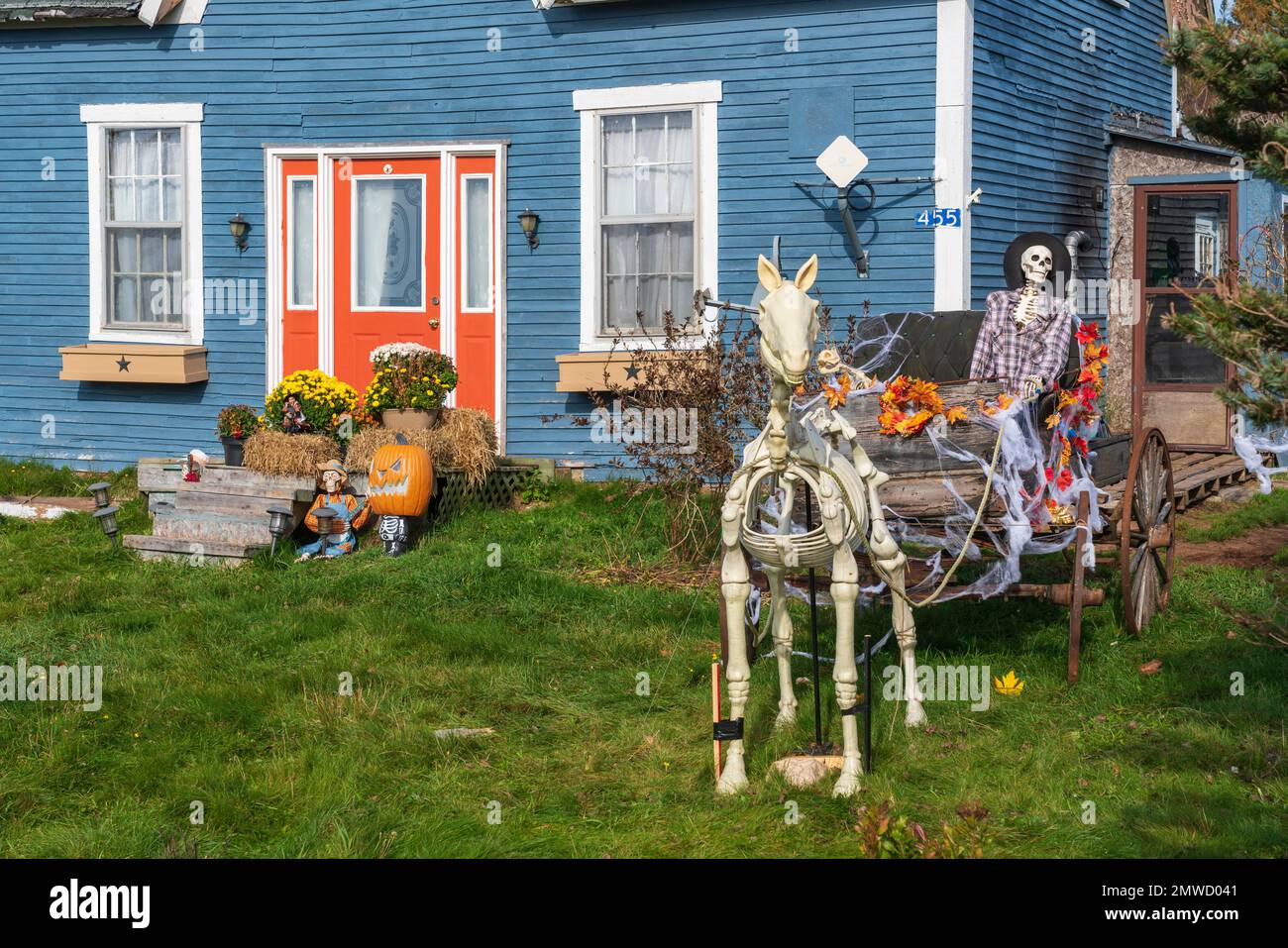 Un squelette d'Halloween sur un buggy près de Dipper Harbour, Nouveau-Brunswick, canada. Banque D'Images