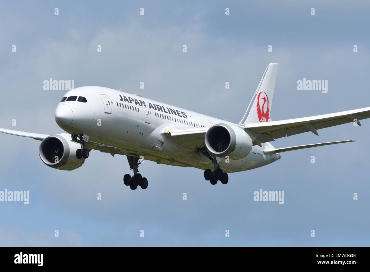 Préfecture de Chiba, Japon - 18 mai 2019: Japan Airlines (JAL) Boeing B787-8 Dreamliner (JA841J) avion passager. Banque D'Images