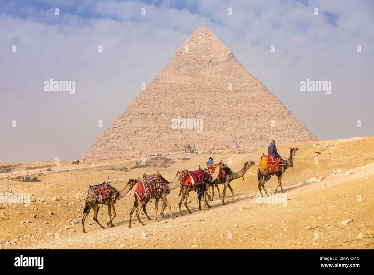 Des hommes égyptiens en chameaux à la Pyramide de Khafre, le Caire, Egypte Banque D'Images