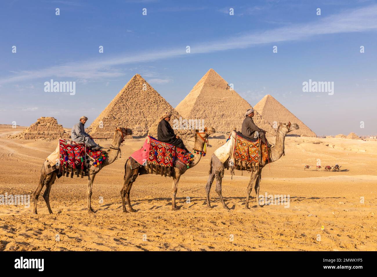 Pyramides de Gizeh avec chameaux au coucher du soleil, le Caire, Egypte Banque D'Images