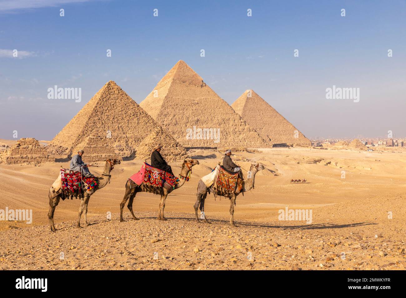 Pyramides de Gizeh avec chameaux au coucher du soleil, le Caire, Egypte Banque D'Images