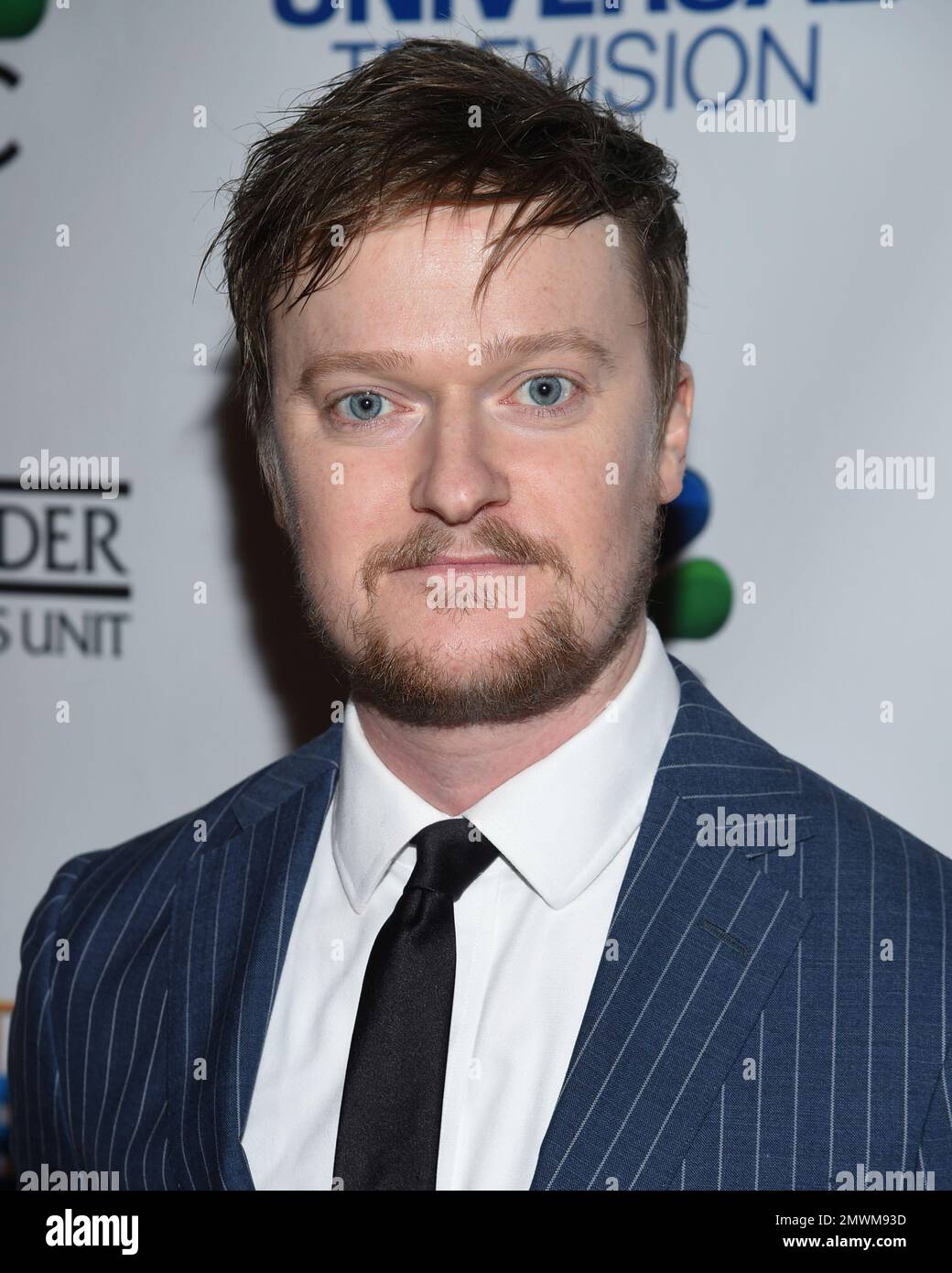 Actor Steven Boyer attends TV Guide Magazine's "Law & Order: Special Victims Unit" 400th episode celebration at the Gansevoort Park Avenue on Wednesday, Jan. 11, 2017, in New York. (Photo by Evan Agostini/Invision/AP) Banque D'Images