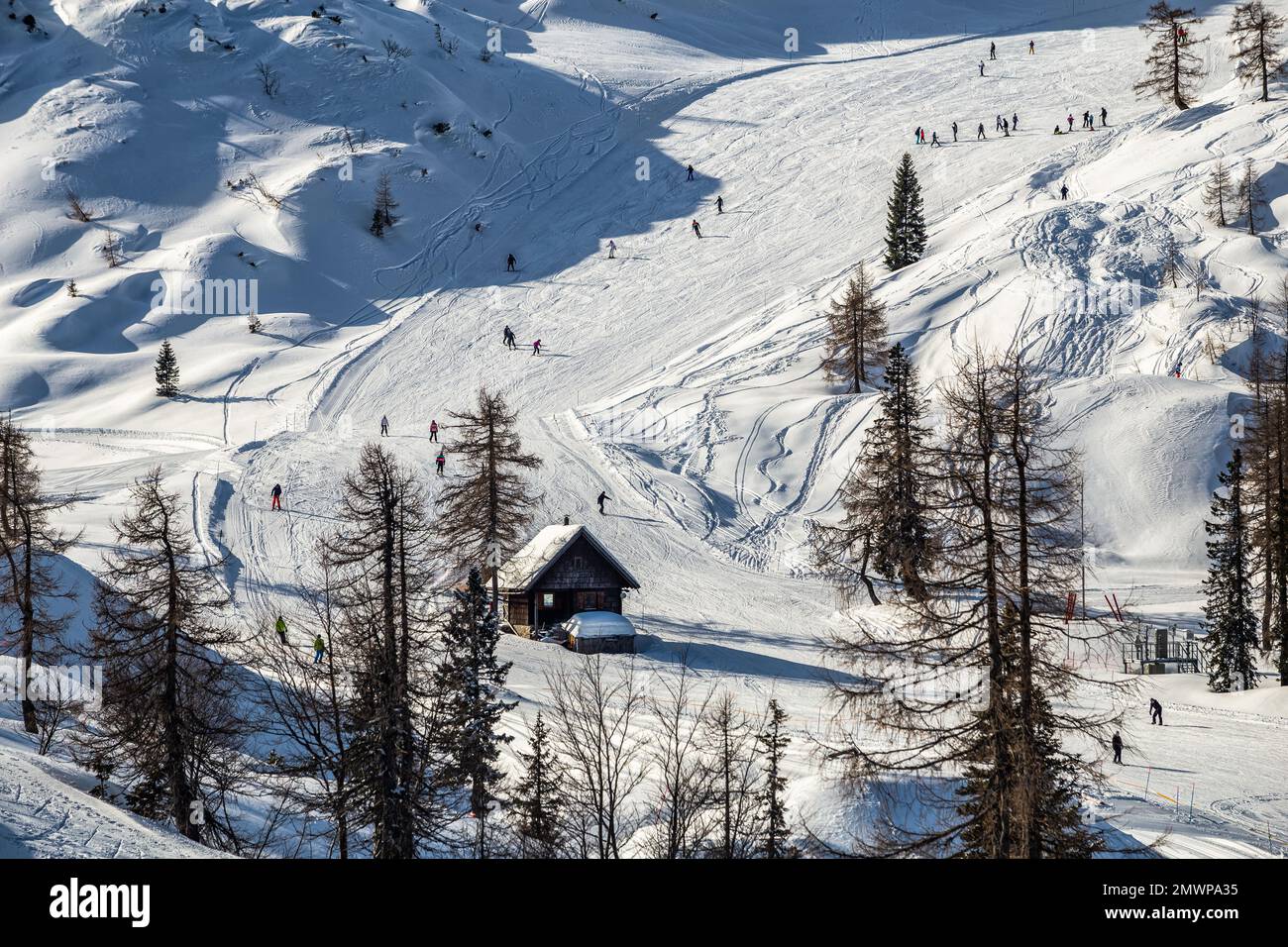 Bohinj, Slovénie - vue d'hiver sur la montagne enneigée de Vogel avec les skieurs sur les pistes de ski et hutte en bois dans les Alpes au parc national de Triglav sur une connexion Wi ensoleillée Banque D'Images
