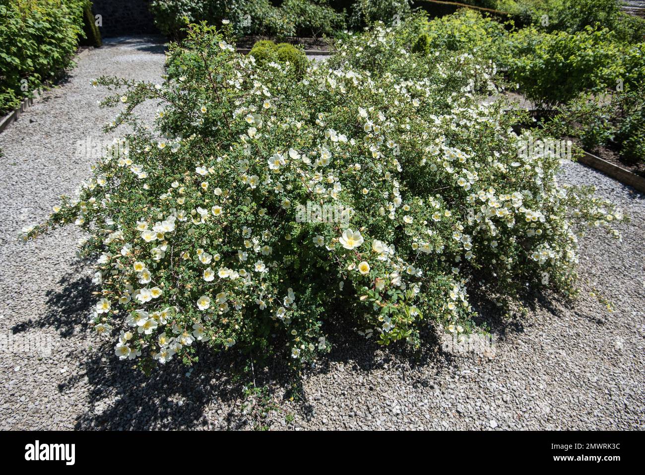 Parcevall Hall -- également connu sous le nom de Parceval Hall -- et ses jardins sont situés à Skyreholme près du village d'Appletreewick, Wharfedale, North Yorkshire Banque D'Images
