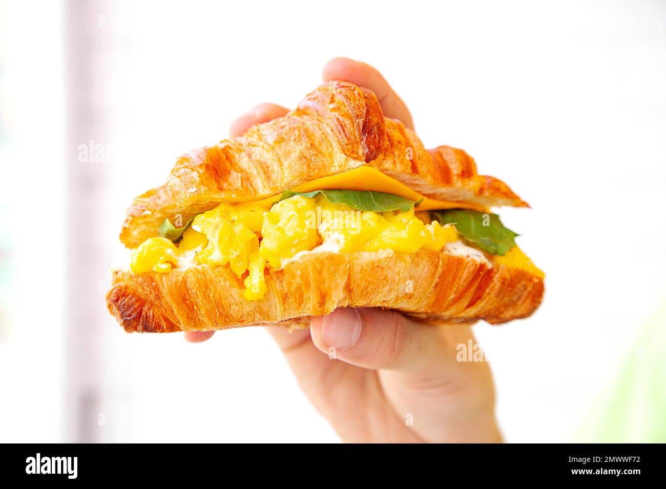 Main tenant un petit déjeuner brioche croissant sandwich avec œufs brouillés de fromage et feuille de roquette. Banque D'Images