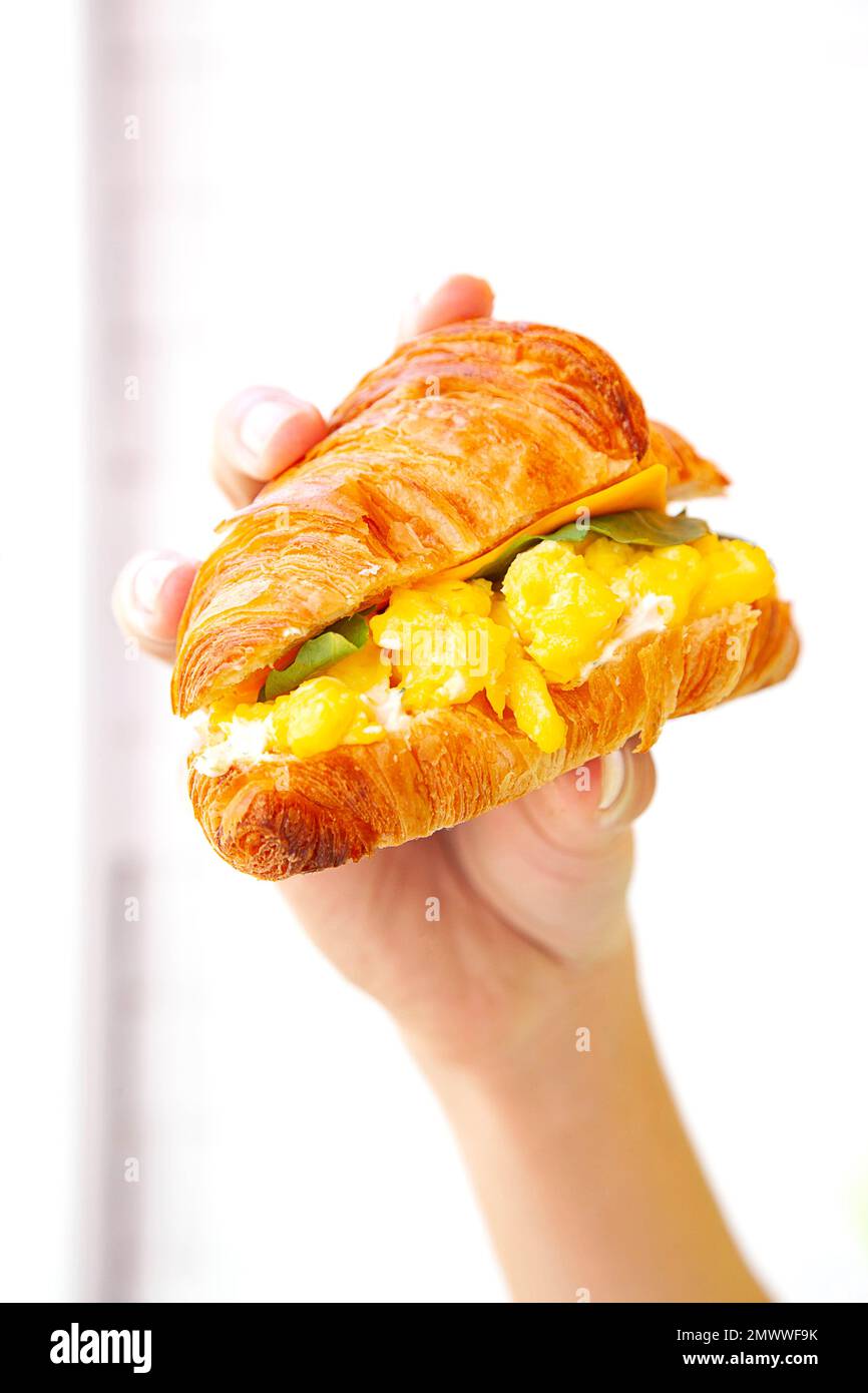 Main tenant un petit déjeuner brioche croissant sandwich avec œufs brouillés de fromage et feuille de roquette. Banque D'Images