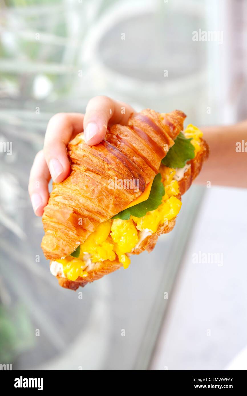 Main tenant un petit déjeuner brioche croissant sandwich avec œufs brouillés de fromage et feuille de roquette. Banque D'Images