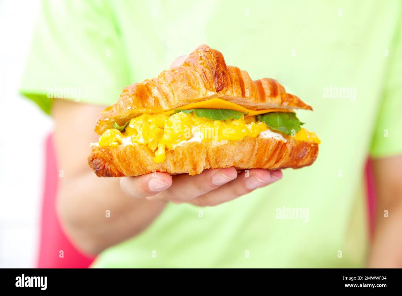 Main tenant un petit déjeuner brioche croissant sandwich avec œufs brouillés de fromage et feuille de roquette. Banque D'Images