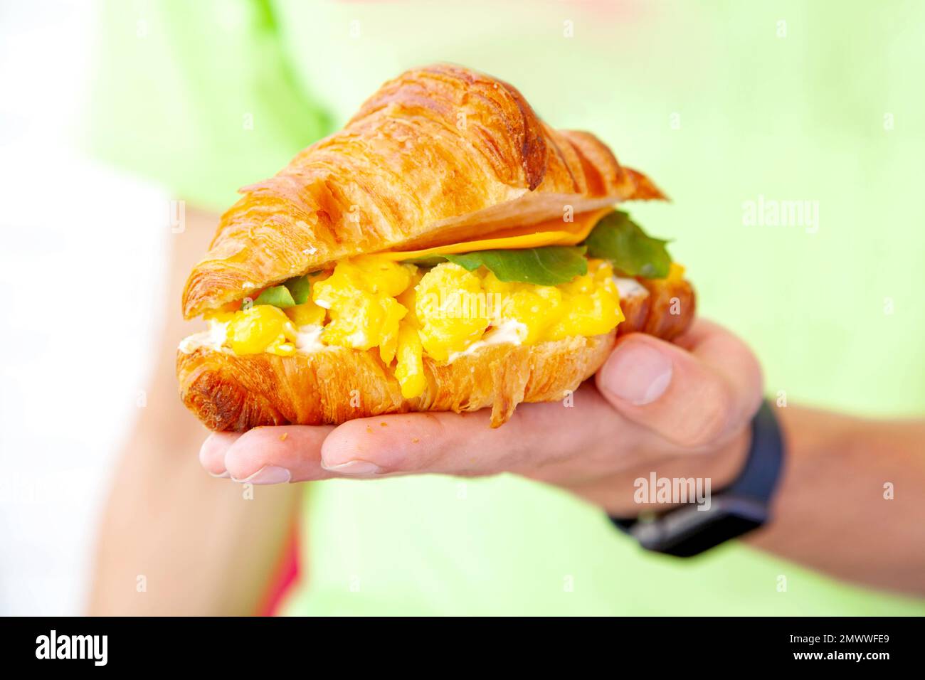 Main tenant un petit déjeuner brioche croissant sandwich avec œufs brouillés de fromage et feuille de roquette. Banque D'Images