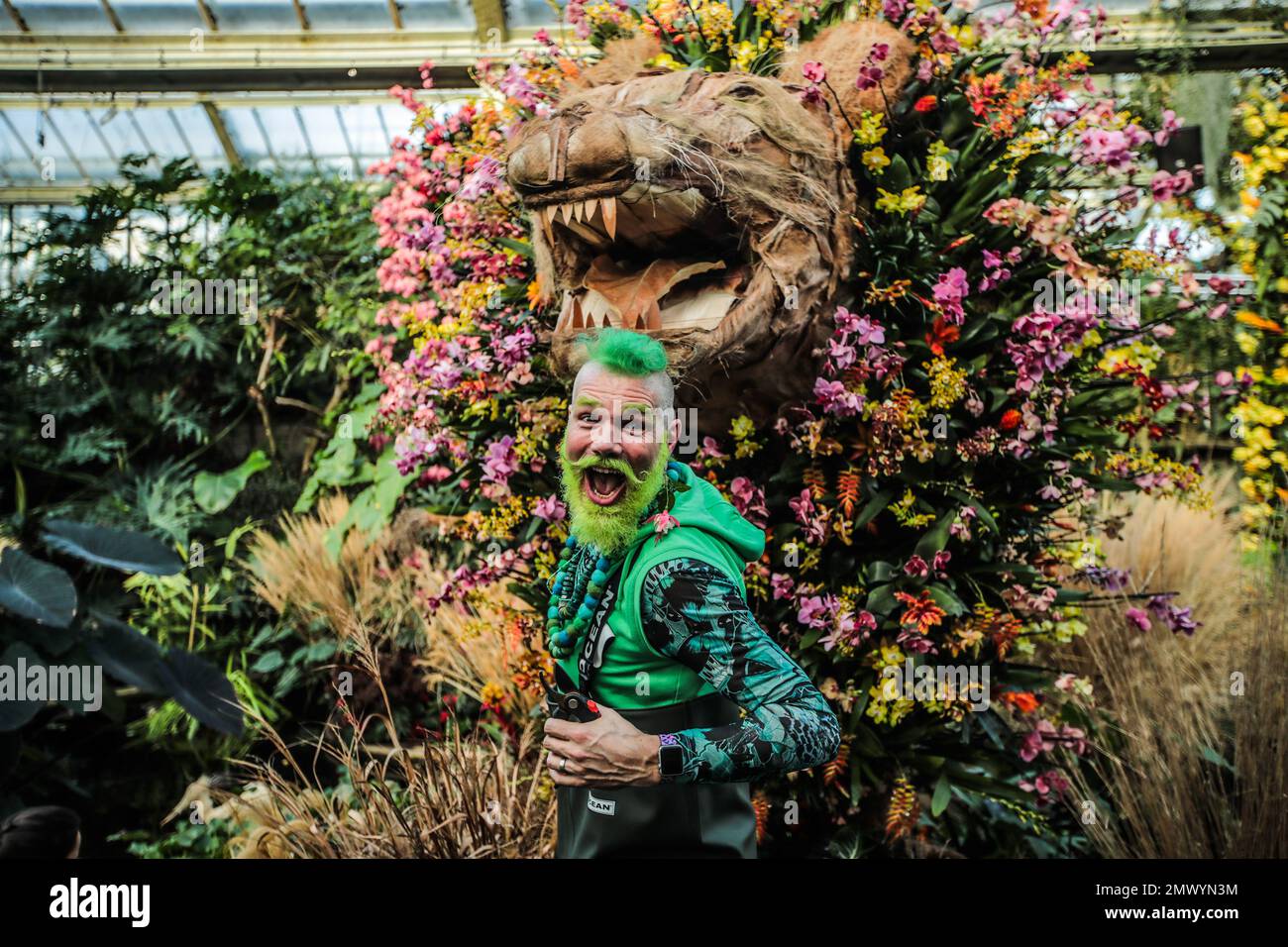 Richmond, Angleterre 02 février 2023 superbes variétés d'orchidées de la collection vivante de Kew, y compris certaines des espèces les plus rares de la terre Kew ont des expositions de plantes en forme de faune étonnante du Cameroun, y compris des girafes, Hippos et un lion plus grand que nature.le festival se déroule du samedi 4 février au dimanche 5 mars 2023.Paul Quezada-Neiman/Alamy Live News Banque D'Images