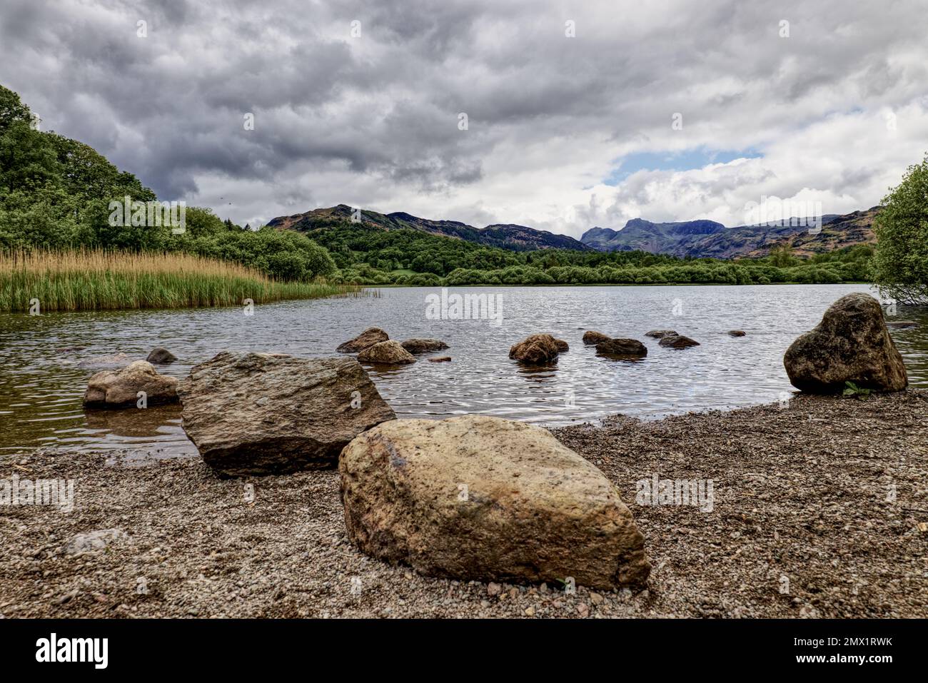 Lake District, Angleterre, Cumbria, Royaume-Uni - Elter Lac d'eau près du village d'Elterwater dans la vallée de la Great Langdale Banque D'Images