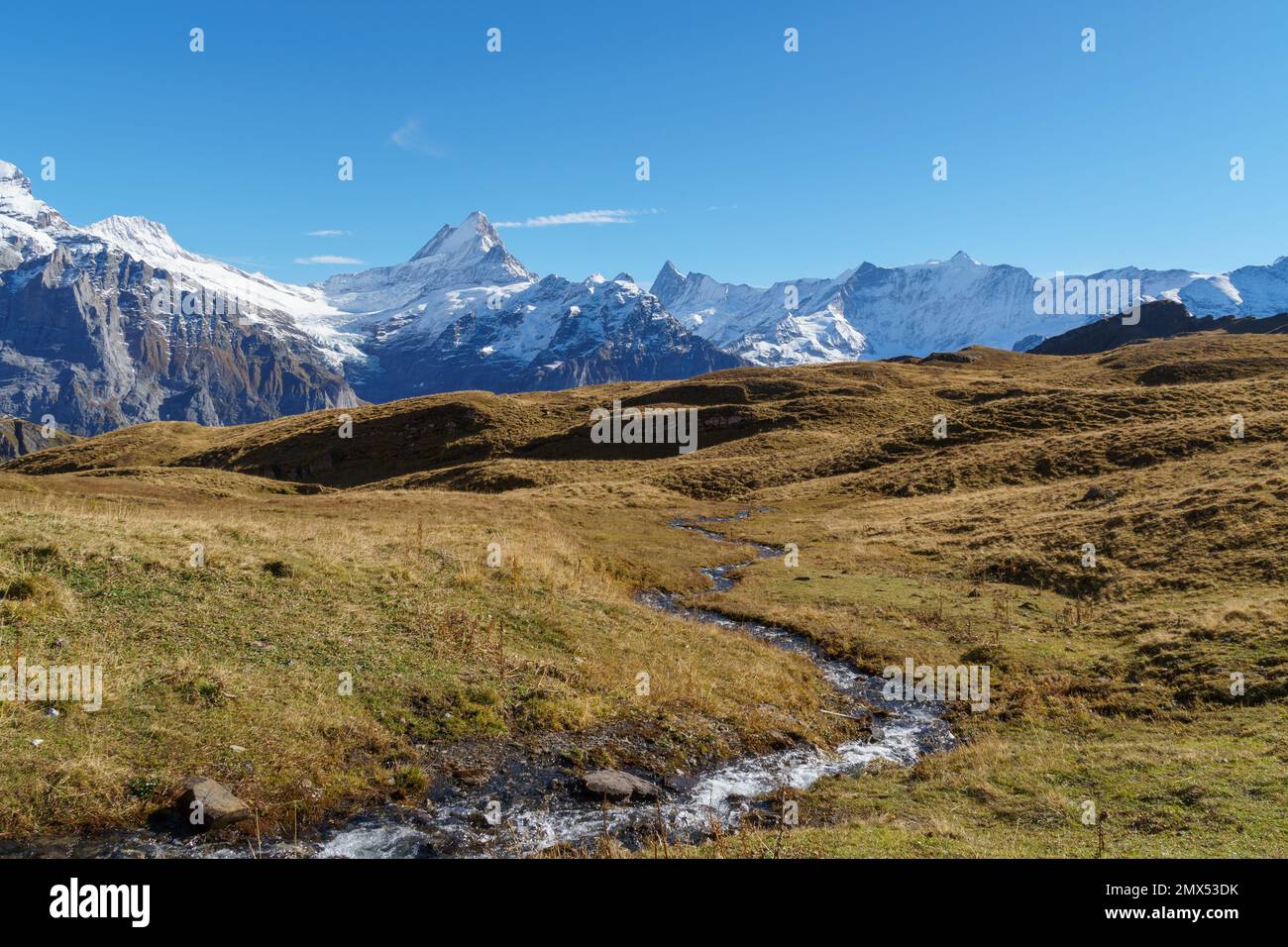 Un ruisseau alpine serpente à travers le paysage au-dessus de la ligne de treeline avec des pics enneigés au loin Banque D'Images