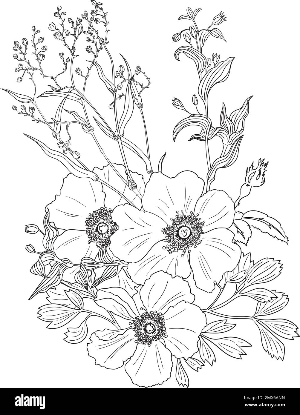 Illustration de la page de coloriage des fleurs botaniques Illustration de Vecteur