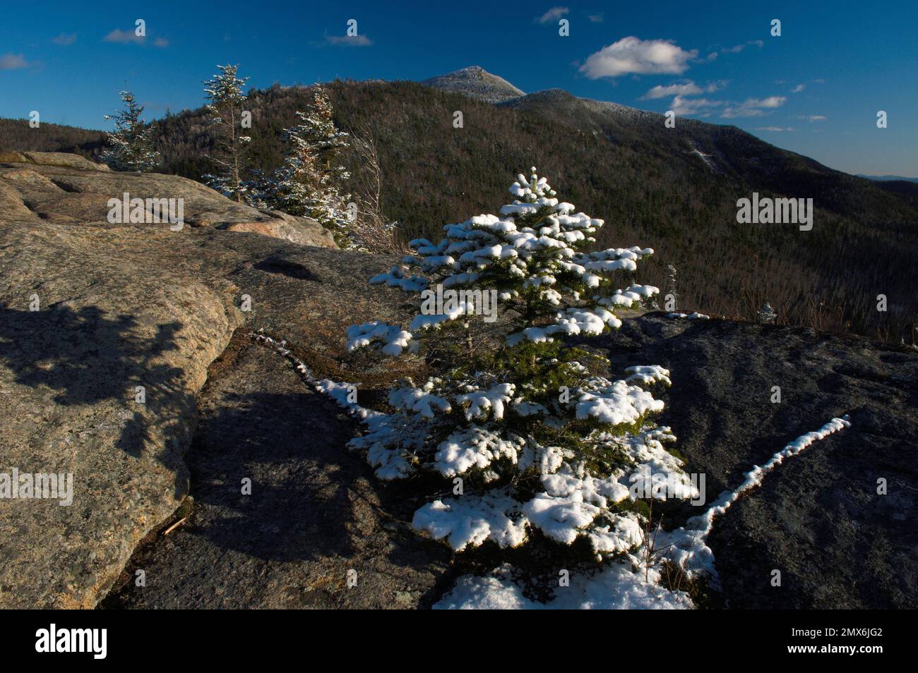 La neige couvrait le sapin baumier au sommet du mont Hopkins avec le mont géant en arrière-plan dans les montagnes Adirondack de New York Banque D'Images