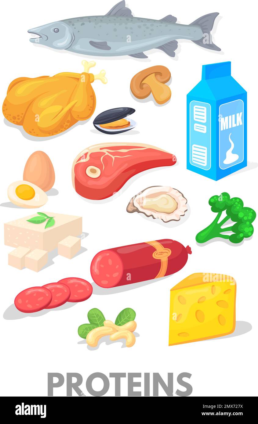 Icônes de dessin animé Proteins. Tableau des aliments sains isolés sur fond blanc Illustration de Vecteur