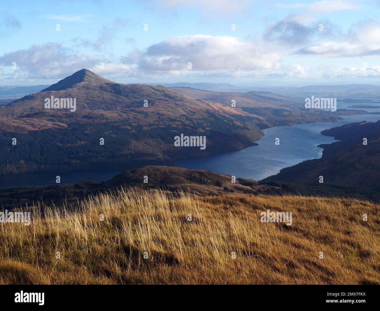 Ben Lomond et Loch Lomond de A' Chois, Arrochar Alps, Écosse Banque D'Images