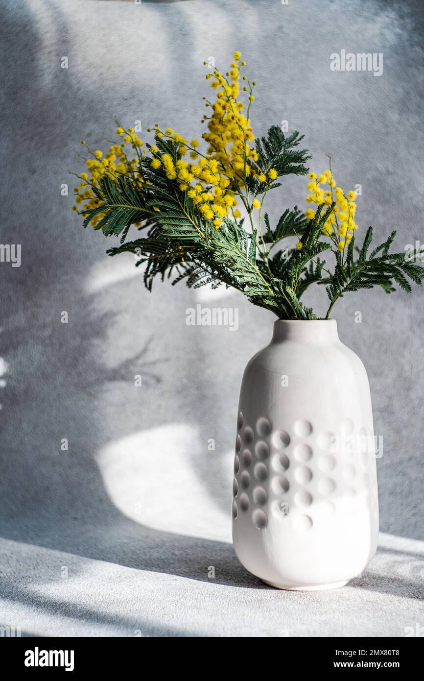 Vase avec fleurs de mimosa jaune printemps par jour ensoleillé sur table en pierre Banque D'Images